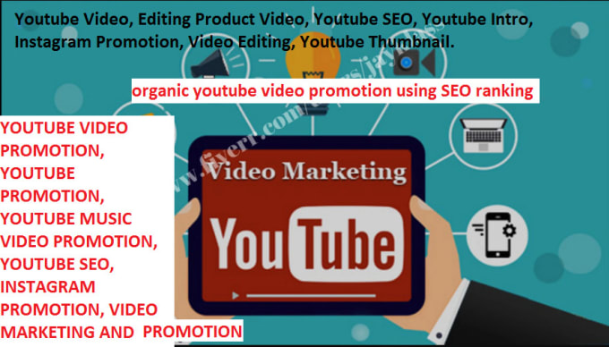 do-a-professional-and-outstanding-organic-youtube-promotion